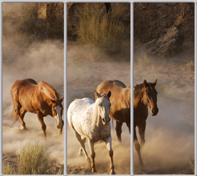 

Шкаф купе Luxe Studio Стандарт-1 Фотопечать Животные-12 2200x2300x450 трехдверный