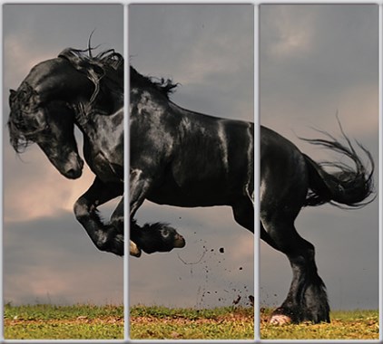 

Шкаф купе Luxe Studio Стандарт-1 Фотопечать Животные-36 2100x2400x450 трехдверный