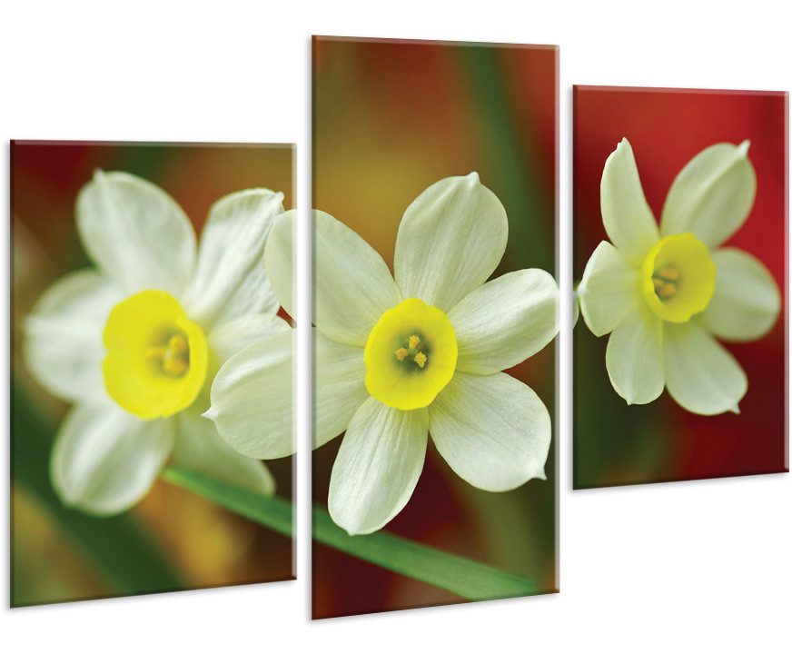 

Модульная картина на холсте YS-Art 96х70см