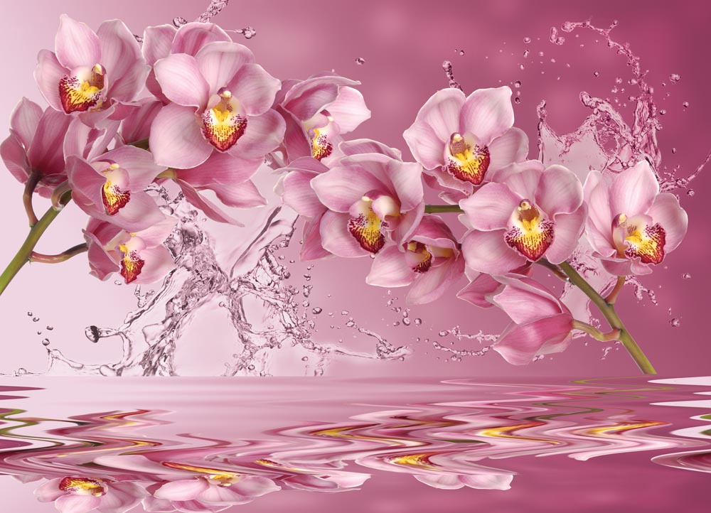 

Фотообои WS Wallpaper 3D орхидеи 360*260 (31144) Глянец