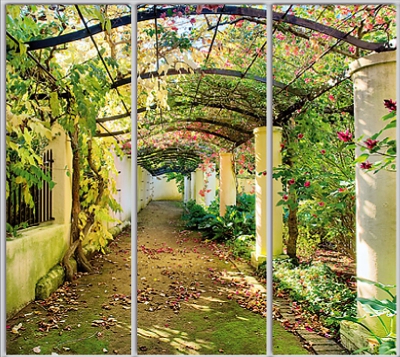 

Шкаф купе Luxe Studio Стандарт-1 Фотопечать Природа-29 2300x2200x450 трехдверный