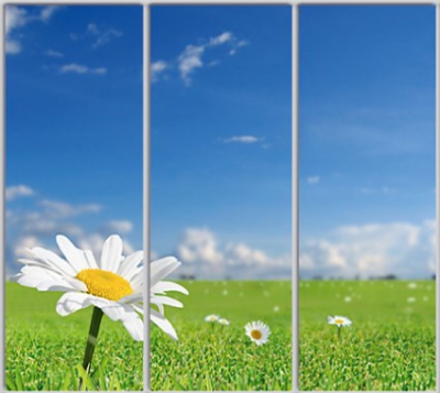 

Шкаф купе Luxe Studio Стандарт-1 Фотопечать Природа-119 2300x2200x450 трехдверный