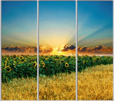 

Шкаф купе Luxe Studio Стандарт-1 Фотопечать Природа-53 2300x2200x450 трехдверный