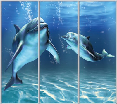 

Шкаф купе Luxe Studio Стандарт-1 Фотопечать Животные-37 2300x2200x450 трехдверный