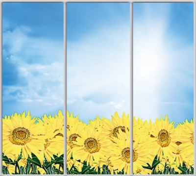 

Шкаф купе Luxe Studio Стандарт-1 Фотопечать Природа-192 2300x2300x450 трехдверный