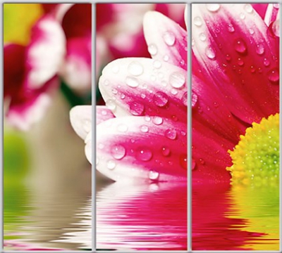 

Шкаф купе Luxe Studio Стандарт-1 Фотопечать Природа-55 2300x2400x450 трехдверный