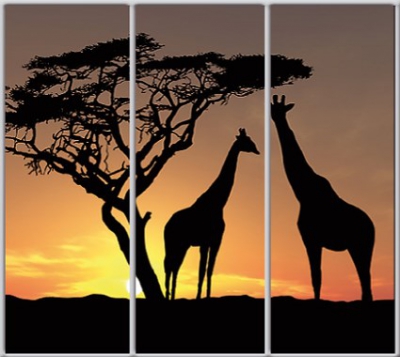 

Шкаф купе Luxe Studio Стандарт-1 Фотопечать Животные-13 2300x2100x450 трехдверный