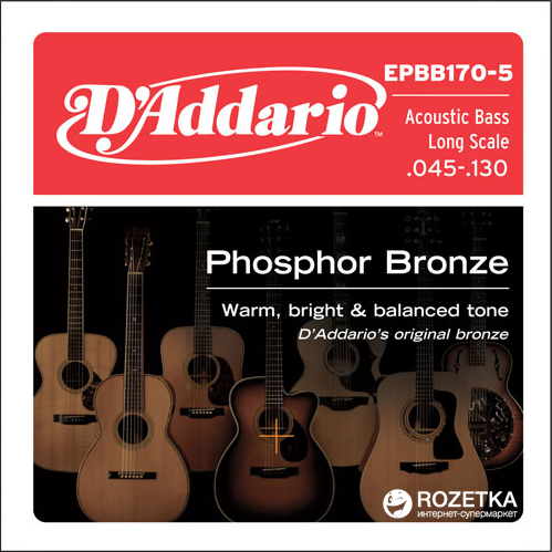 

D'Addario EPBB170-5 Acoustic Bass Phosphor Bronze 5-String