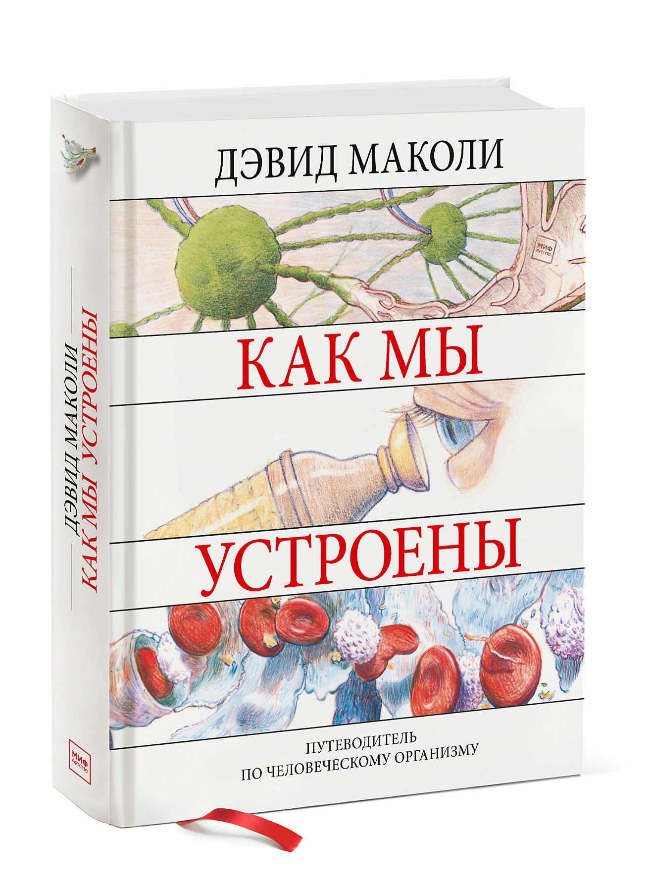 

Как мы устроены. Путеводитель по человеческому организму