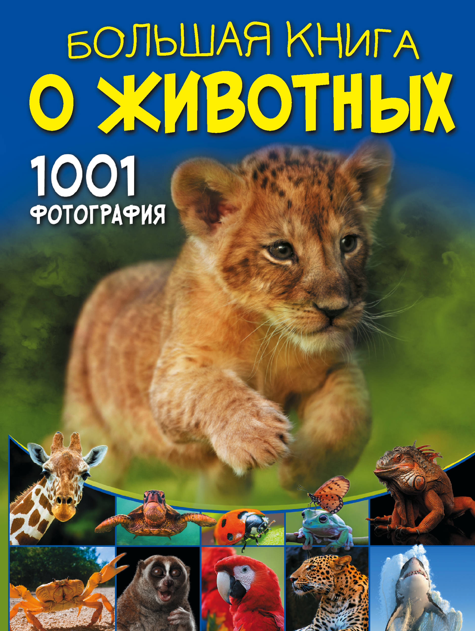 

Большая книга о животных. 1001 фотография