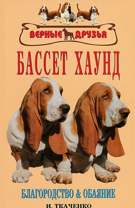 

Бассет хаунд. Благородство и обаяние