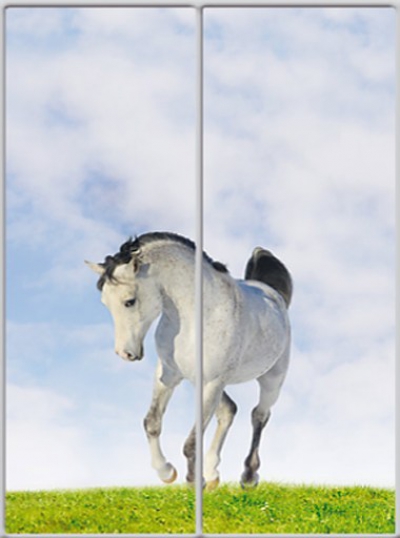 

Шкаф купе Luxe Studio Стандарт-1 Фотопечать Животные-4 1900x2100x600 двухдверный