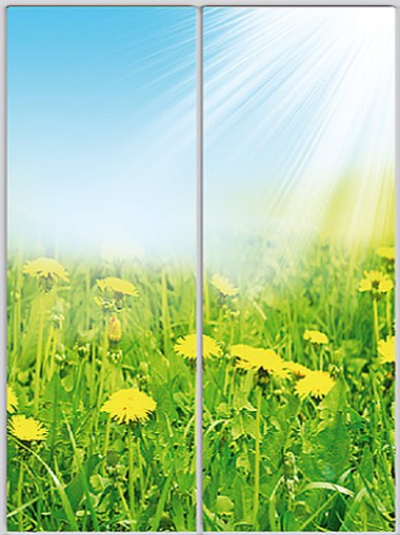 

Шкаф купе Luxe Studio Стандарт-1 Фотопечать Природа-2 1200x2100x600 двухдверный