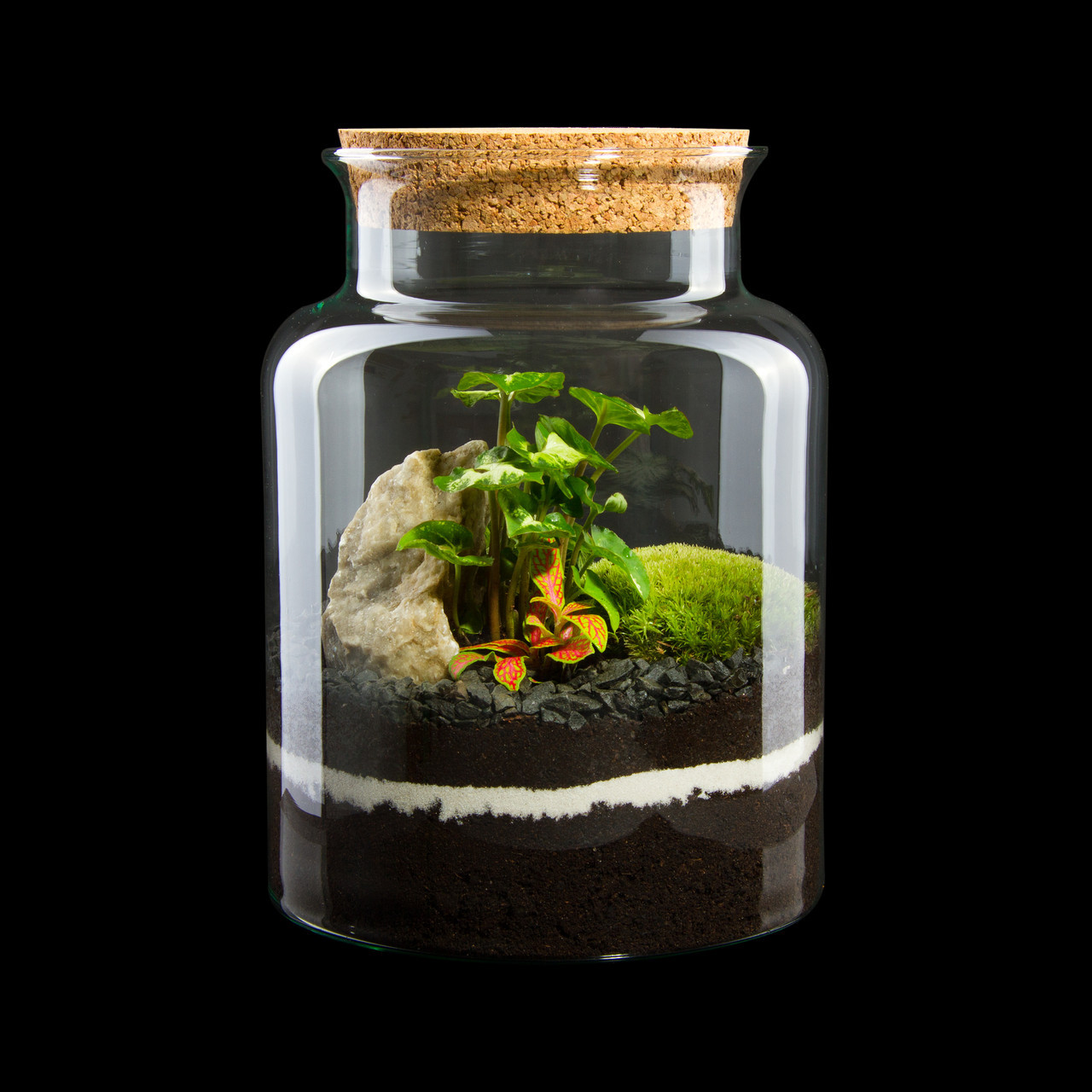 

Декоративный флорариум в банке с живыми растениями MossGarden Ф6