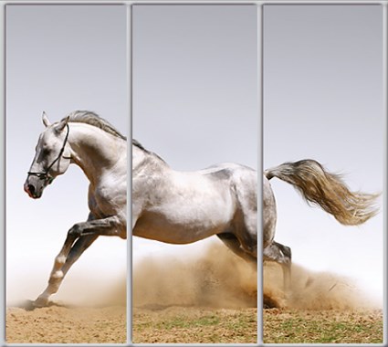 

Шкаф купе Luxe Studio Стандарт-1 Фотопечать Животные-24 2200x2000x450 трехдверный