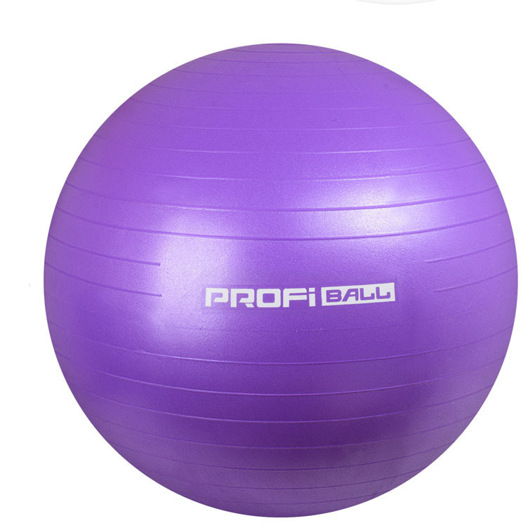 

Гимнастический мяч Profi Ball 65 см Фиолетовый (мяч для фитнеса) (M 0276 U/R)