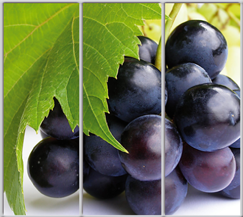 

Шкаф купе Luxe Studio Стандарт-1 Фотопечать Еда и напитки-47 2400x2400x450 трехдверный