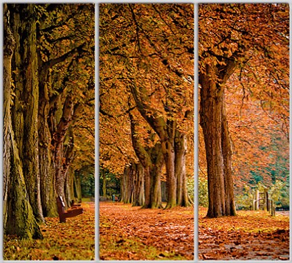 

Шкаф купе Luxe Studio Стандарт-1 Фотопечать Природа-134 2400x2000x450 трехдверный