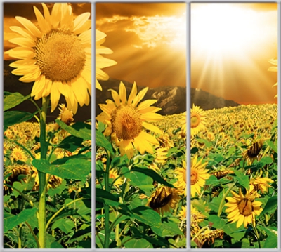 

Шкаф купе Luxe Studio Стандарт-1 Фотопечать Природа-11 2400x2200x450 трехдверный