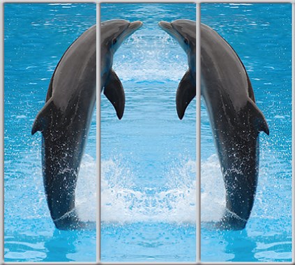 

Шкаф купе Luxe Studio Стандарт-1 Фотопечать Животные-15 2400x2200x450 трехдверный