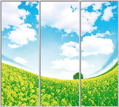 

Шкаф купе Luxe Studio Стандарт-1 Фотопечать Природа-8 2400x2300x450 трехдверный