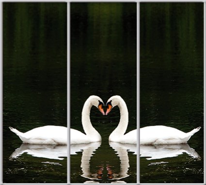 

Шкаф купе Luxe Studio Стандарт-1 Фотопечать Животные-43 2400x2400x450 трехдверный