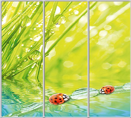 

Шкаф купе Luxe Studio Стандарт-1 Фотопечать Природа-227 2400x2400x450 трехдверный