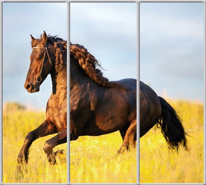 

Шкаф купе Luxe Studio Стандарт-1 Фотопечать Животные-52 2400x2200x450 трехдверный