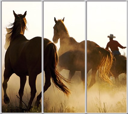 

Шкаф купе Luxe Studio Стандарт-1 Фотопечать Животные-11 2400x2000x450 трехдверный