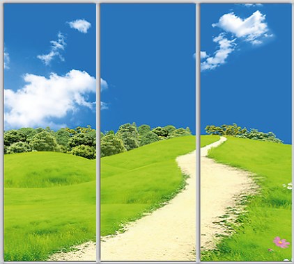 

Шкаф купе Luxe Studio Стандарт-1 Фотопечать Природа-183 2400x2000x450 трехдверный