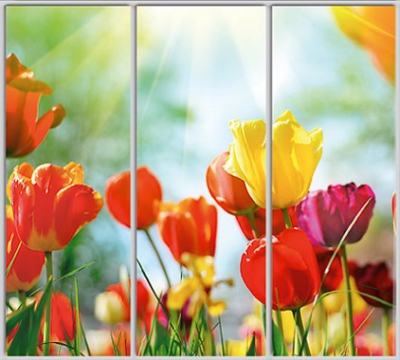 

Шкаф купе Luxe Studio Стандарт-1 Фотопечать Природа-86 2400x2200x450 трехдверный