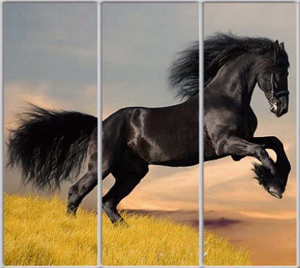 

Шкаф купе Luxe Studio Стандарт-1 Фотопечать Животные-5 2400x2300x450 трехдверный