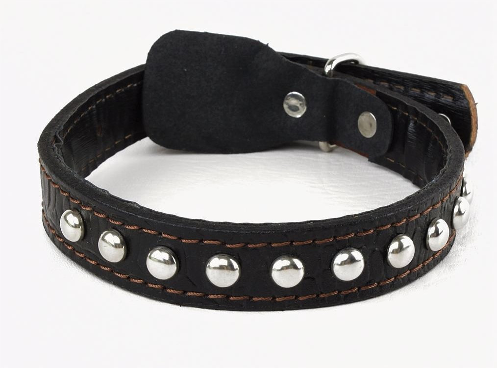 

Ошейник с заклепками Lockdog M (30-44 см) Черный 000040438