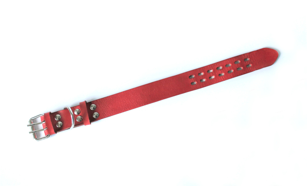 

Ошейник для собак Lockdog L (45-55 см) Красный 000040468