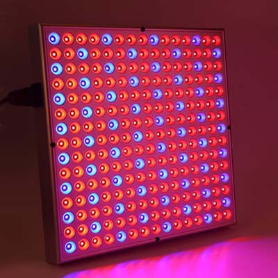 

Светодиодная фито-панель для растений Clefers 45W 220V Full Spectrum GR - 45