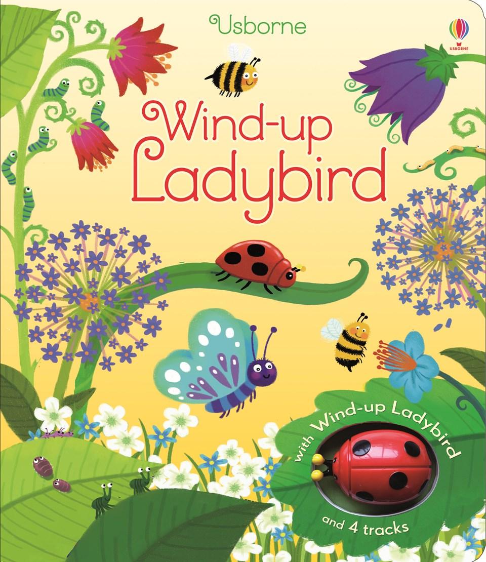 

Wind-Up Ladybird