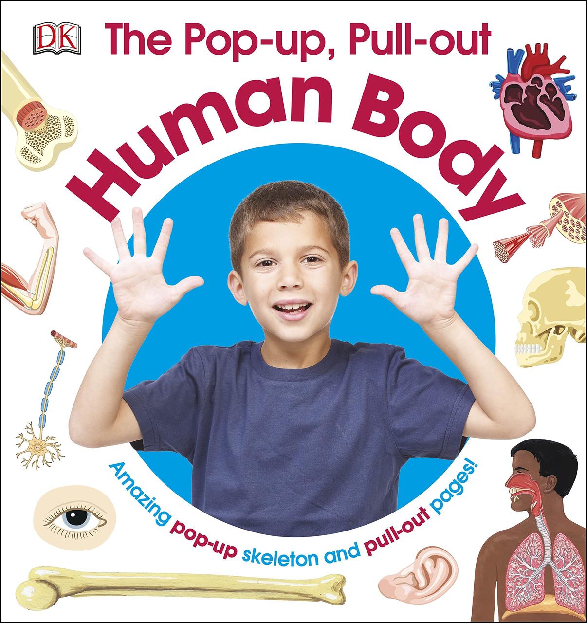 

The Pop-Up, Pull Out Human Body