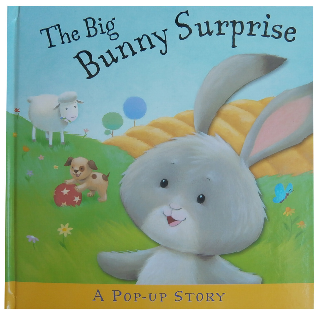 

The Big Bunny Surprise