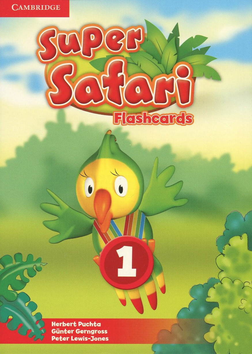 

Super Safari 1 Flashcards (Pack of 40)