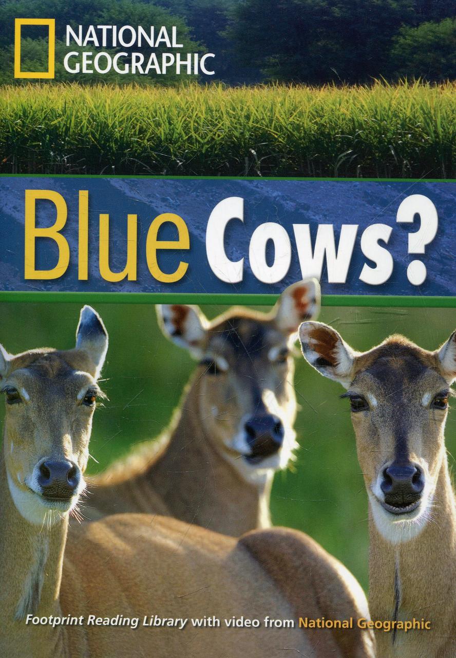 

Blue Cows (+DVD)