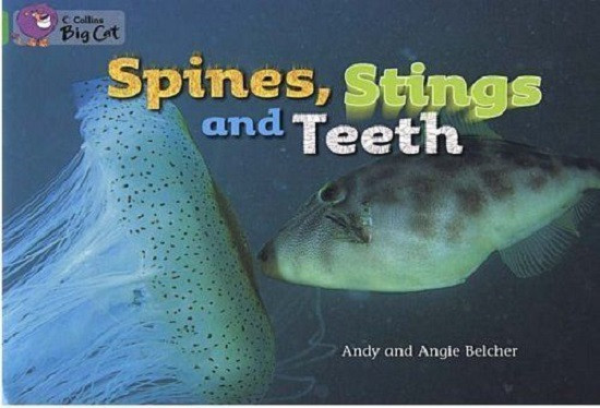 

Big Cat 5 Spines, Stings and Teeth. Workbook