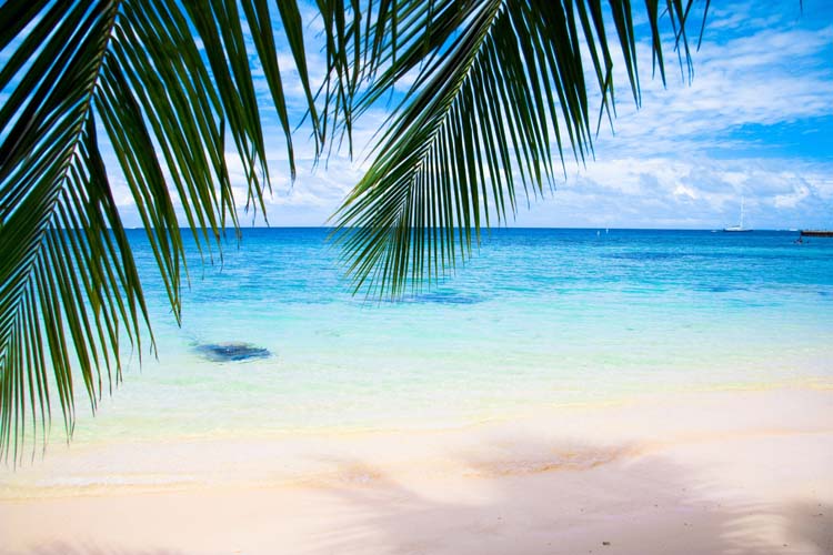 Фотообои ArtSide Морской берег (8431) Жаккард – фото, отзывы