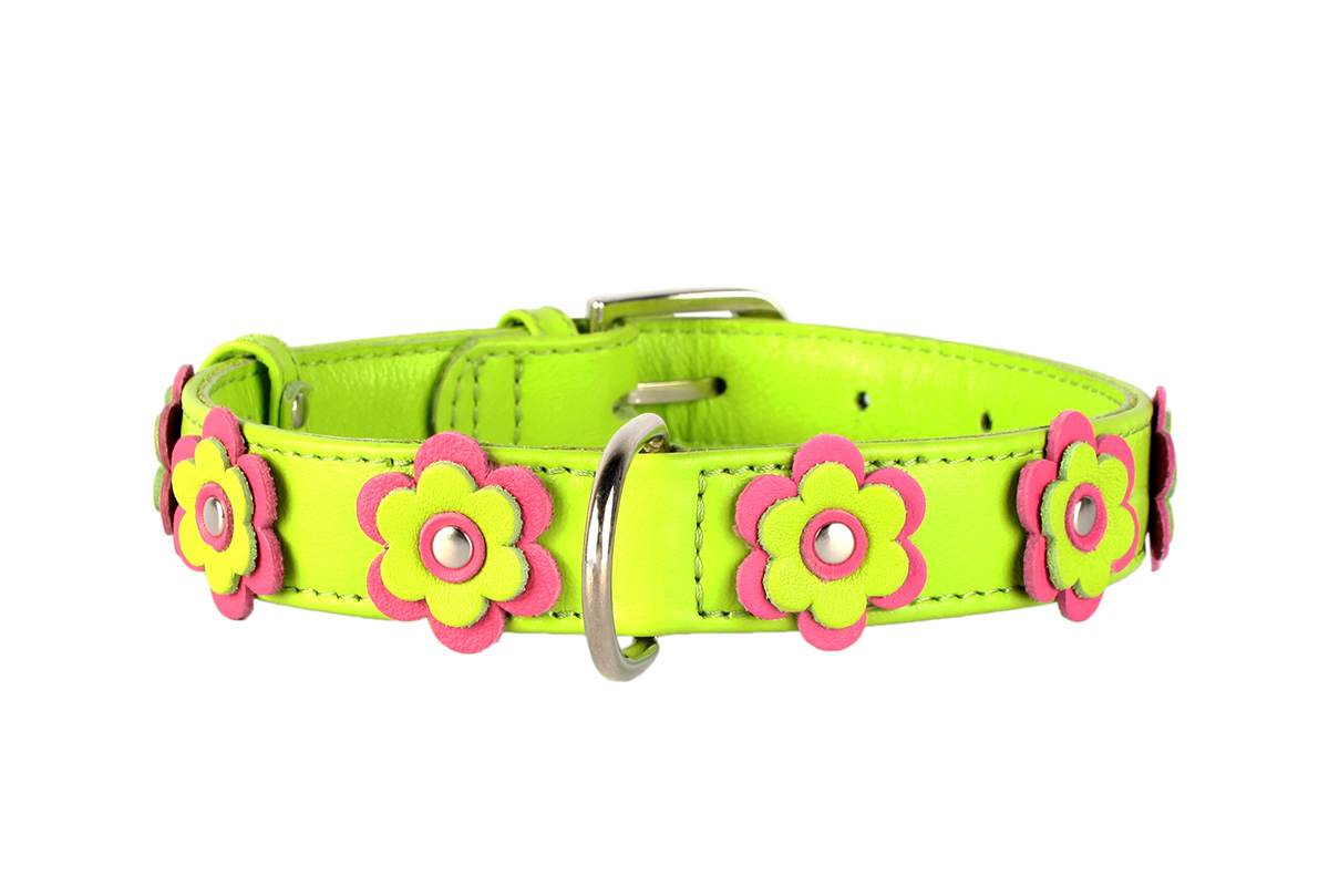 

Ошейник Collar Glamour с украшением Аппликация 46-60 см 35 мм Лайм (35045)