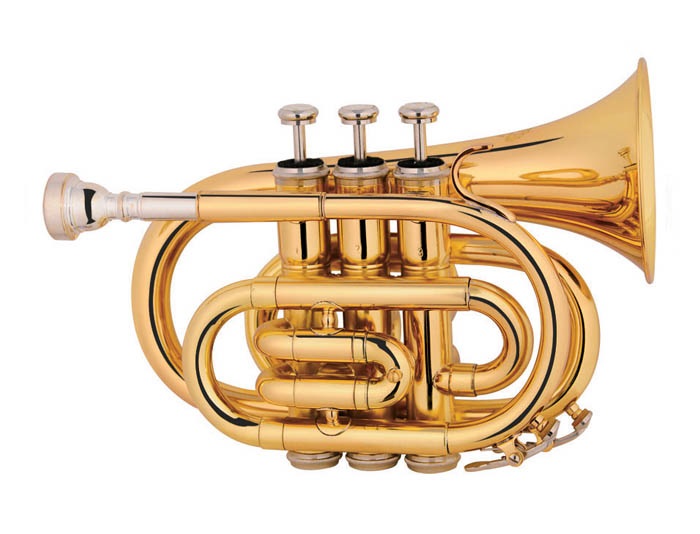 

Труба MAXTONE TT MINI 53L