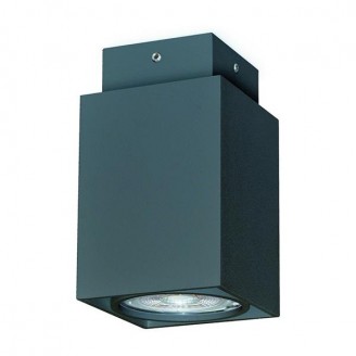 

Накладной точечный светильник EXO 426B-G21X1A-02