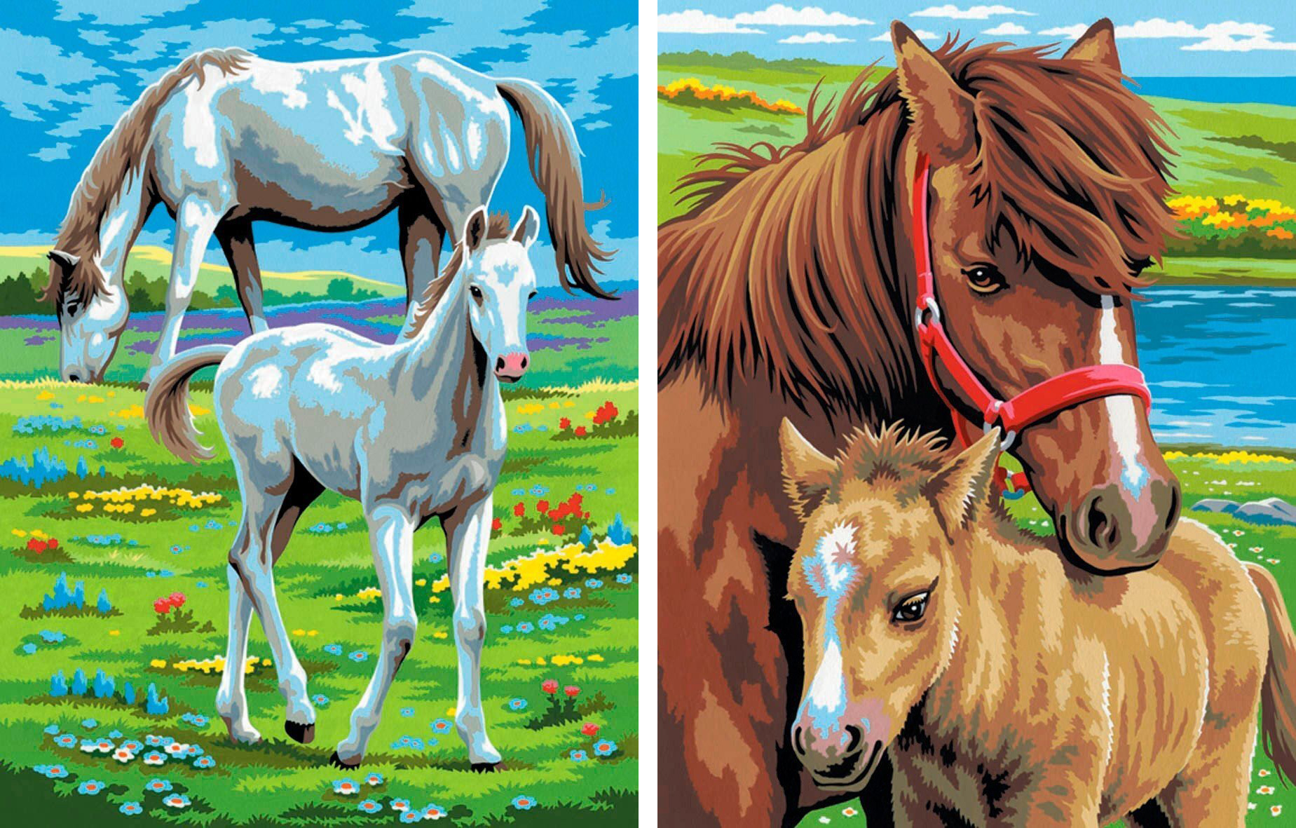 Рисование по номерам лошади
