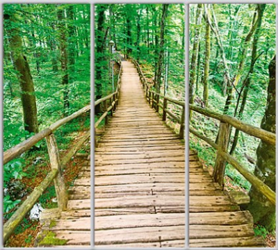 

Шкаф купе Luxe Studio Стандарт-1 Фотопечать Природа-159 2200x2300x600 трехдверный