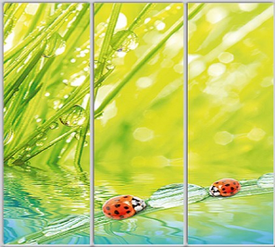 

Шкаф купе Luxe Studio Стандарт-1 Фотопечать Природа-227 2200x2400x600 трехдверный