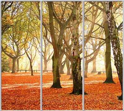 

Шкаф купе Luxe Studio Стандарт-1 Фотопечать Природа-172 2200x2300x600 трехдверный