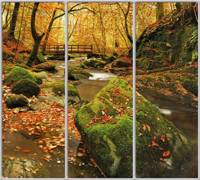 

Шкаф купе Luxe Studio Стандарт-1 Фотопечать Природа-173 2200x2200x600 трехдверный